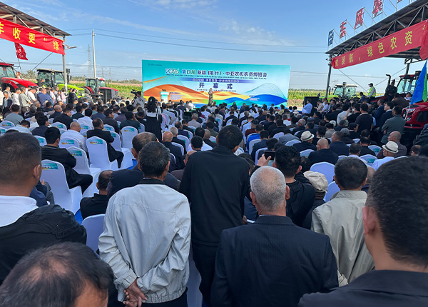展会现场