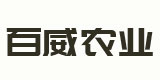 名企推荐